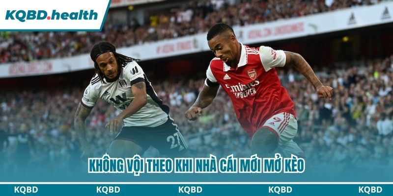 Không nên vội theo khi nhà cái mới mở cược