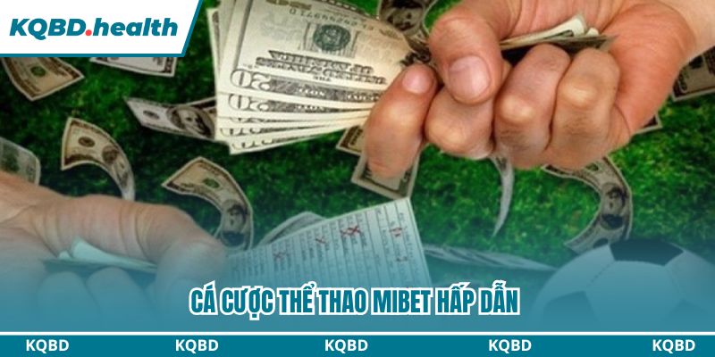 Đặt cược thể thao hấp dẫn, cơ hội thu lợi nhuận hậu hĩnh