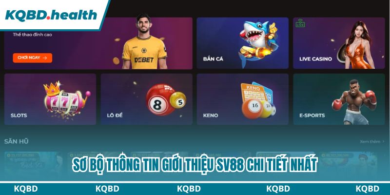 Sơ bộ thông tin giới thiệu Sv88 chi tiết nhất